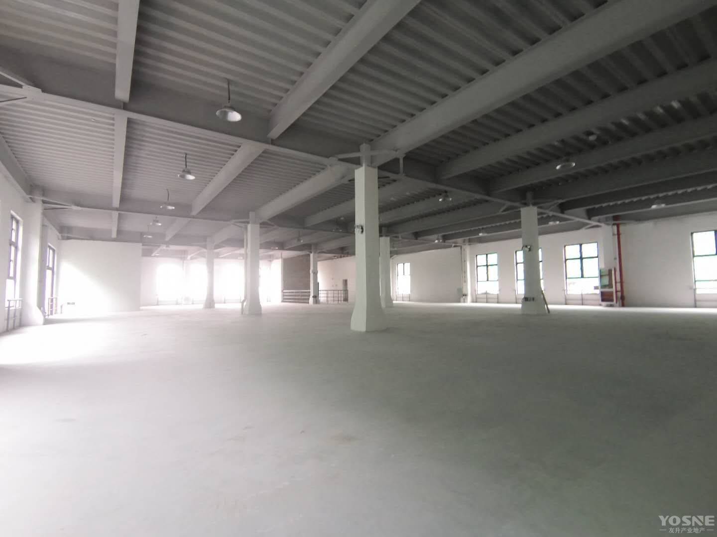 近閔行新建多層獨棟生產型廠房