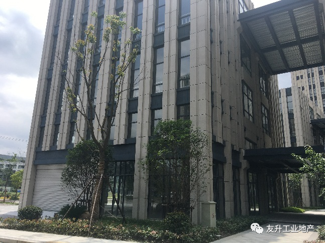 臨港松江科技城 四層獨棟現房出售  可按揭 